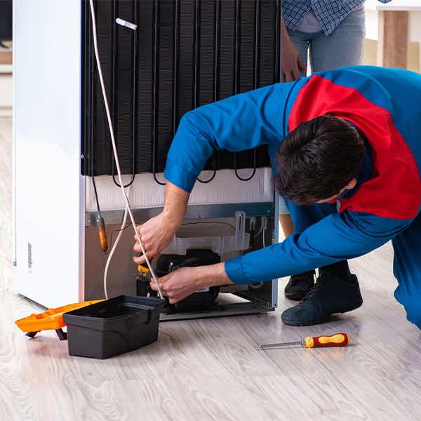 what are the signs that indicate my refrigerator needs repair in Henderson Maryland